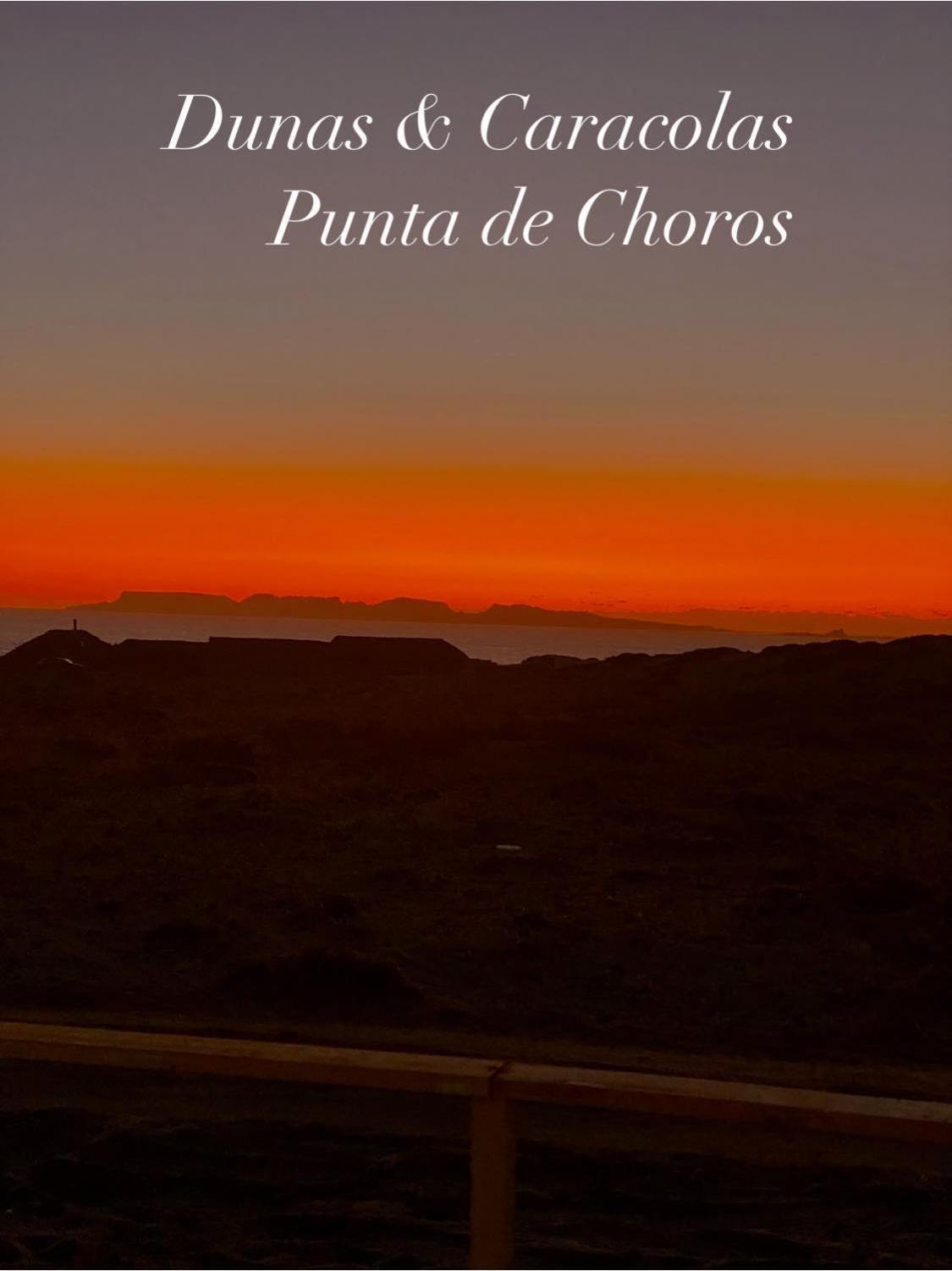 Entre Dunas Y Caracolas Punta Choros Zewnętrze zdjęcie