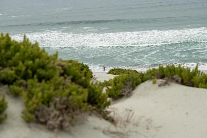 Entre Dunas Y Caracolas Punta Choros Zewnętrze zdjęcie