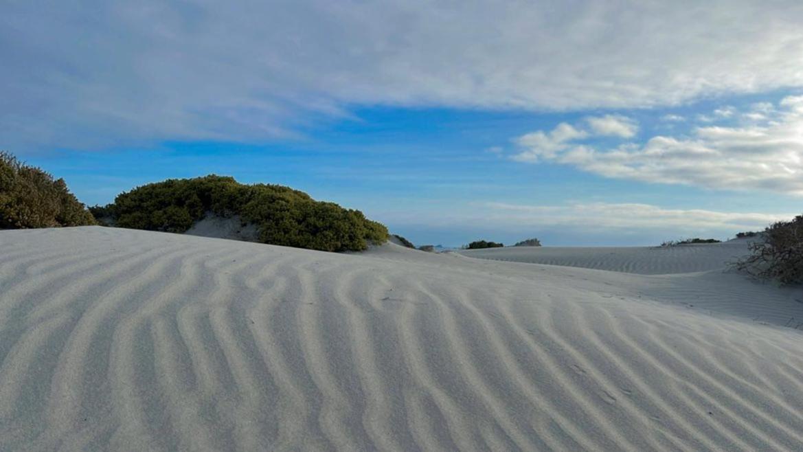 Entre Dunas Y Caracolas Punta Choros Zewnętrze zdjęcie