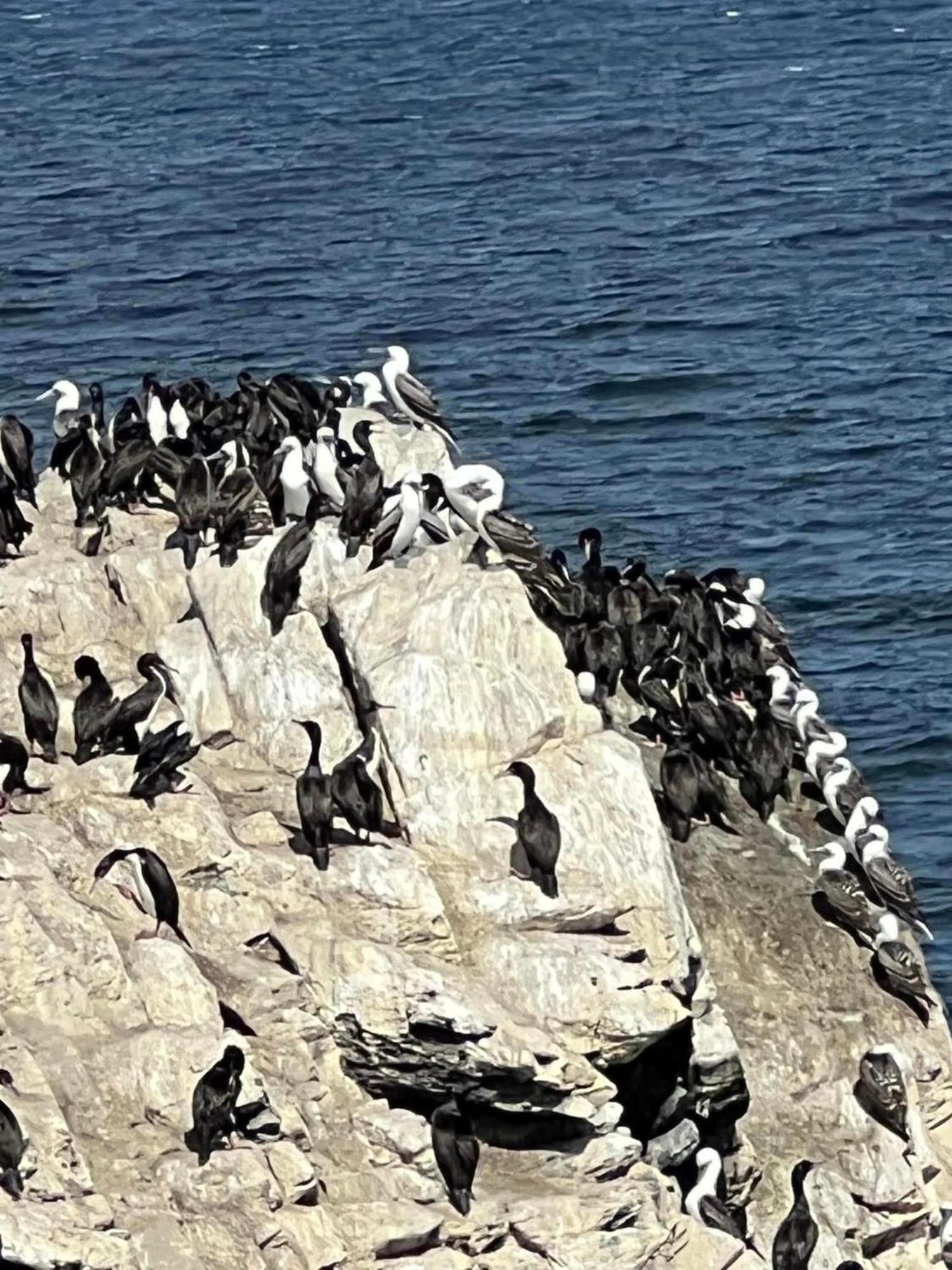 Entre Dunas Y Caracolas Punta Choros Zewnętrze zdjęcie